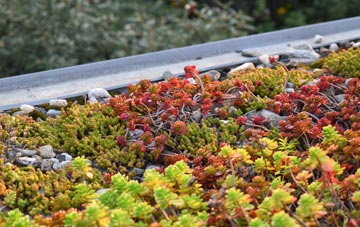the cost of Ramsey Island green roof installation