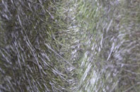 Ramsey Island fibreglass roof work